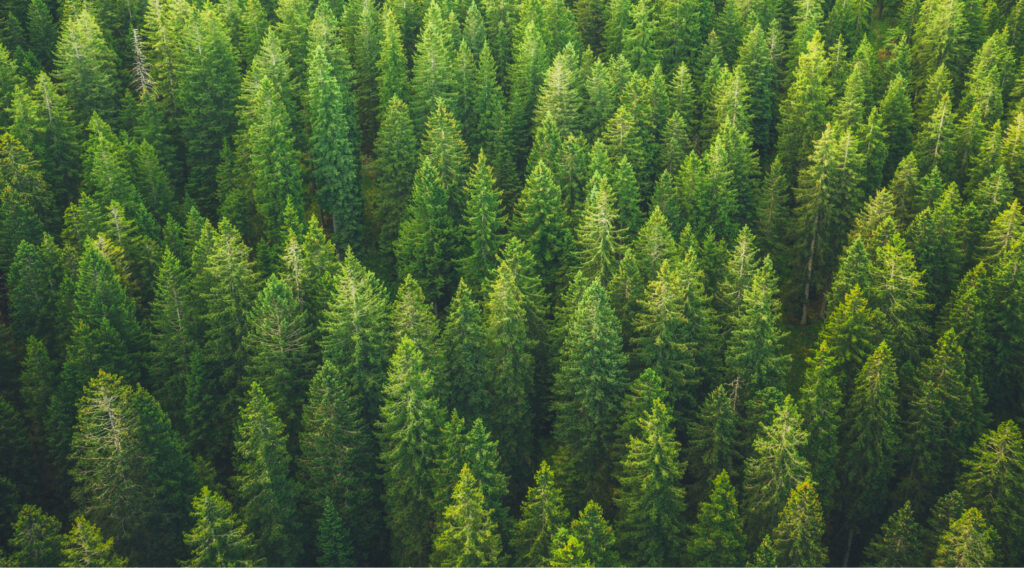 Introducing evergreen funds