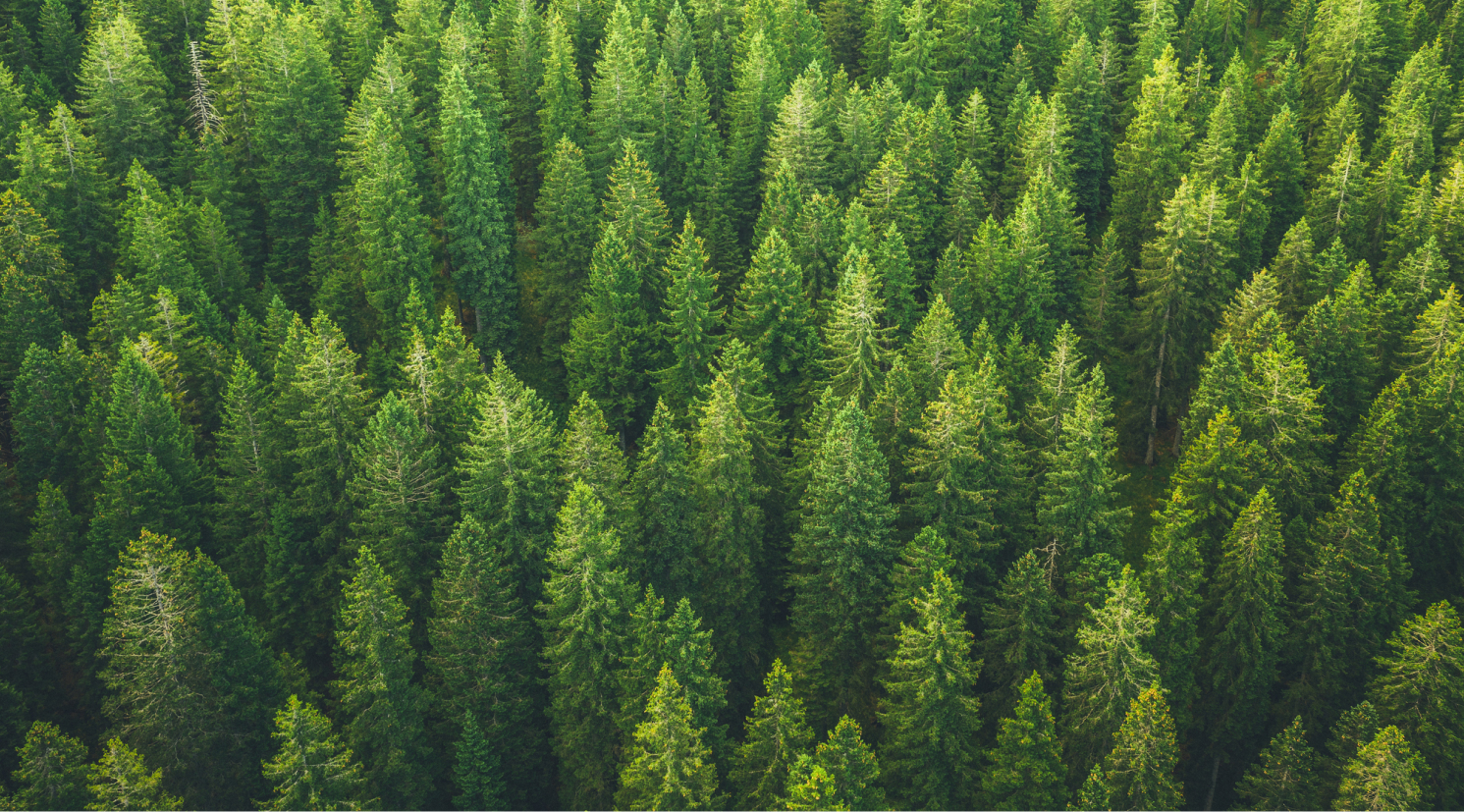 Introducing evergreen funds