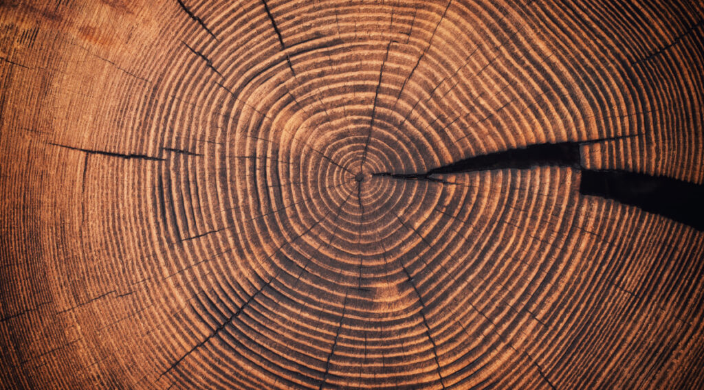 Constructing your core with evergreen funds