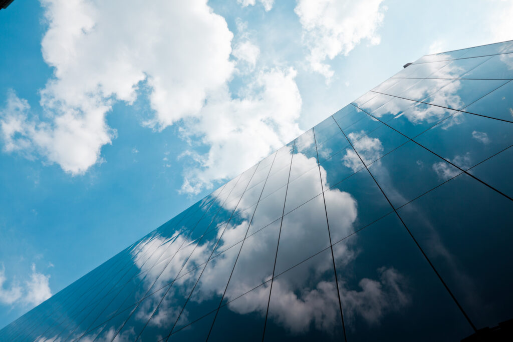 Willow Wealth appoints Tom Williams as Chief Investment Officer